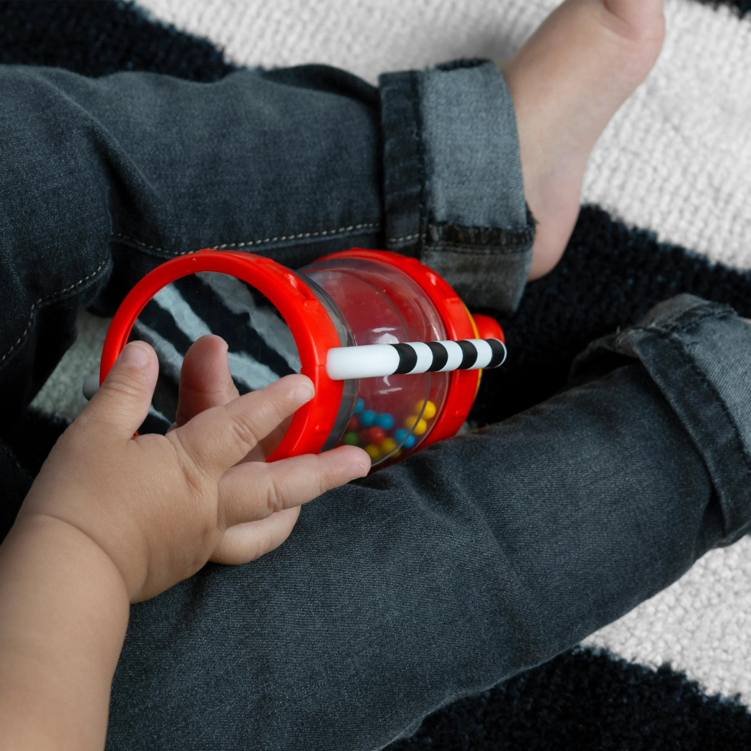Baby Einstein - Jucarie zornaitoare, 