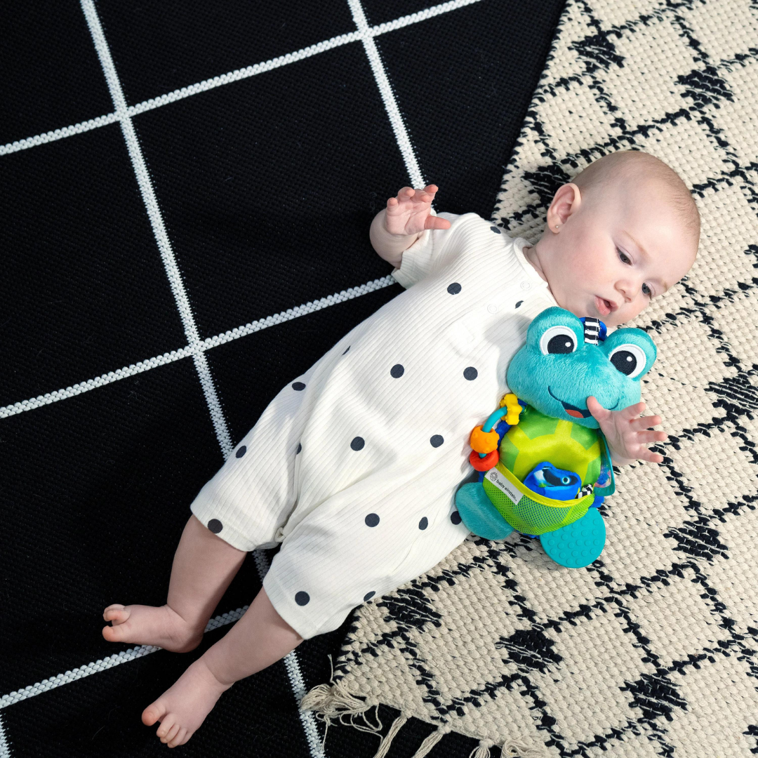 Baby Einstein - Jucarie interactiva de plus, 