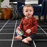 Baby Einstein - Jucarie muzicala si zornaitoare 