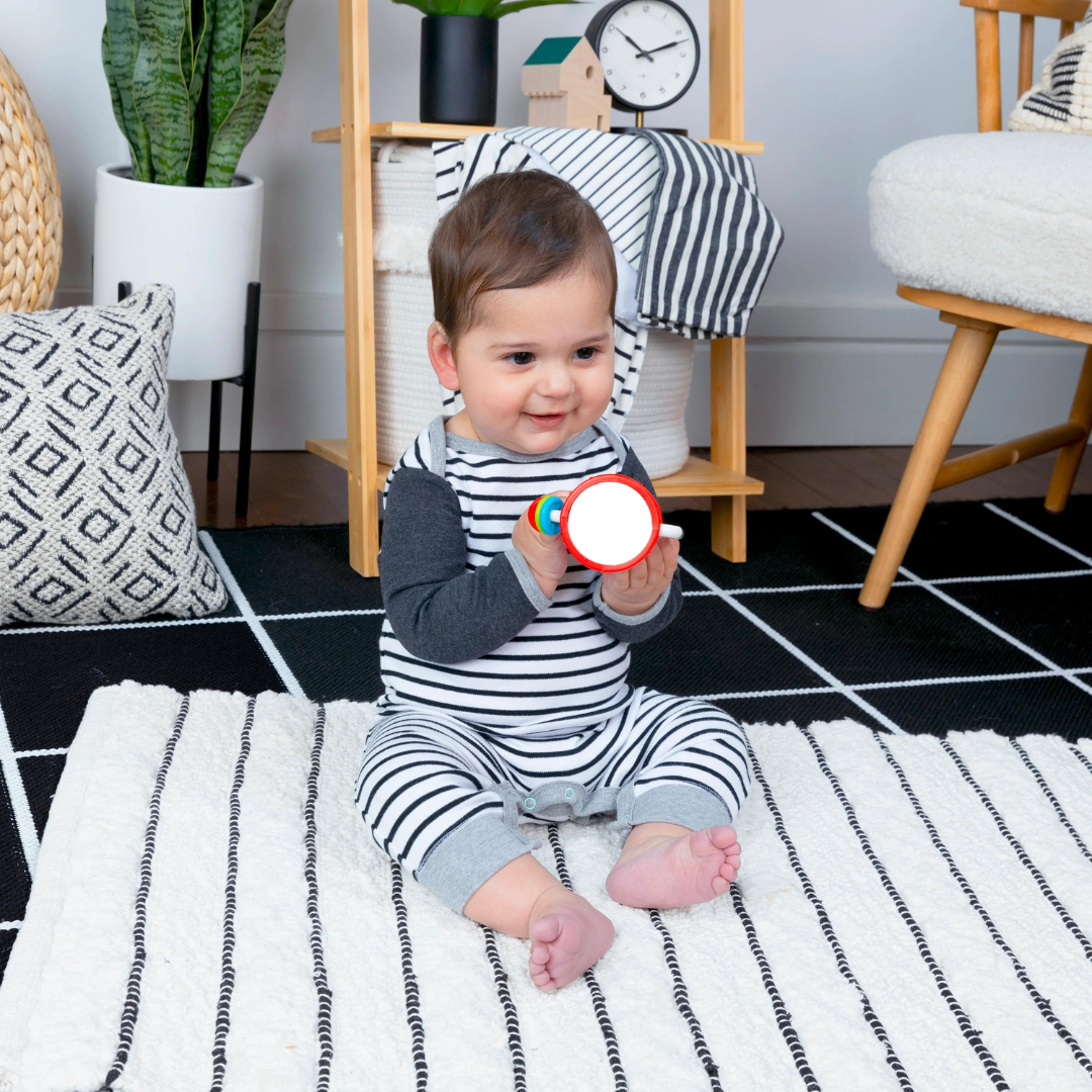 Baby Einstein - Jucarie zornaitoare, 