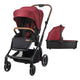 Carucior modular 2in1 Coccolle Saliara Cabernet