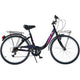 Bicicleta Dino Bikes 24