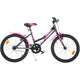 Bicicleta copii Dino Bikes 20