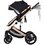 Carucior Chipolino Amore 2 in 1 noir