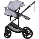 Carucior Chipolino Amore 2 in 1 platinum