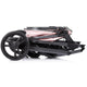 Carucior Chipolino Amore 2 in 1 powder pink