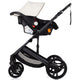 Carucior Chipolino Amore 3 in 1 cashmere