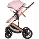 Carucior Chipolino Amore 3 in 1 flamingo