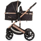 Carucior Chipolino Amore 3 in 1 obsidian