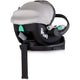 Carucior Chipolino Aurora 3 in 1 platinum