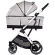 Carucior Chipolino Aurora 3 in 1 platinum