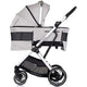 Carucior Chipolino Aurora 3 in 1 platinum