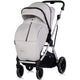 Carucior Chipolino Aurora 3 in 1 platinum