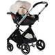 Carucior Chipolino Elite 3 in 1 biscotta