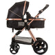 Carucior Chipolino Havana 3 in 1 obsidian gold