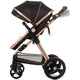 Carucior Chipolino Havana 3 in 1 obsidian gold