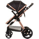 Carucior Chipolino Havana 3 in 1 obsidian gold