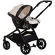 Carucior Chipolino Magnum 3 in 1 biscotta