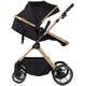 Carucior Chipolino Pearl 2 in 1 noir