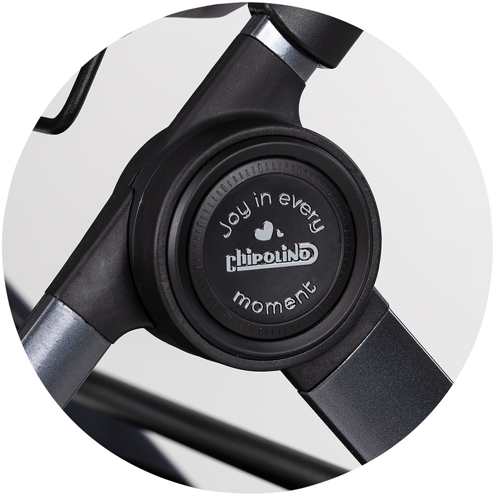 Carucior Chipolino Pearl 2 in 1 platinum