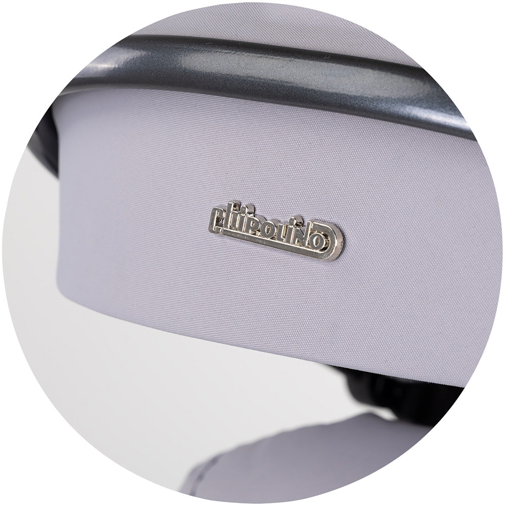 Carucior Chipolino Pearl 2 in 1 platinum