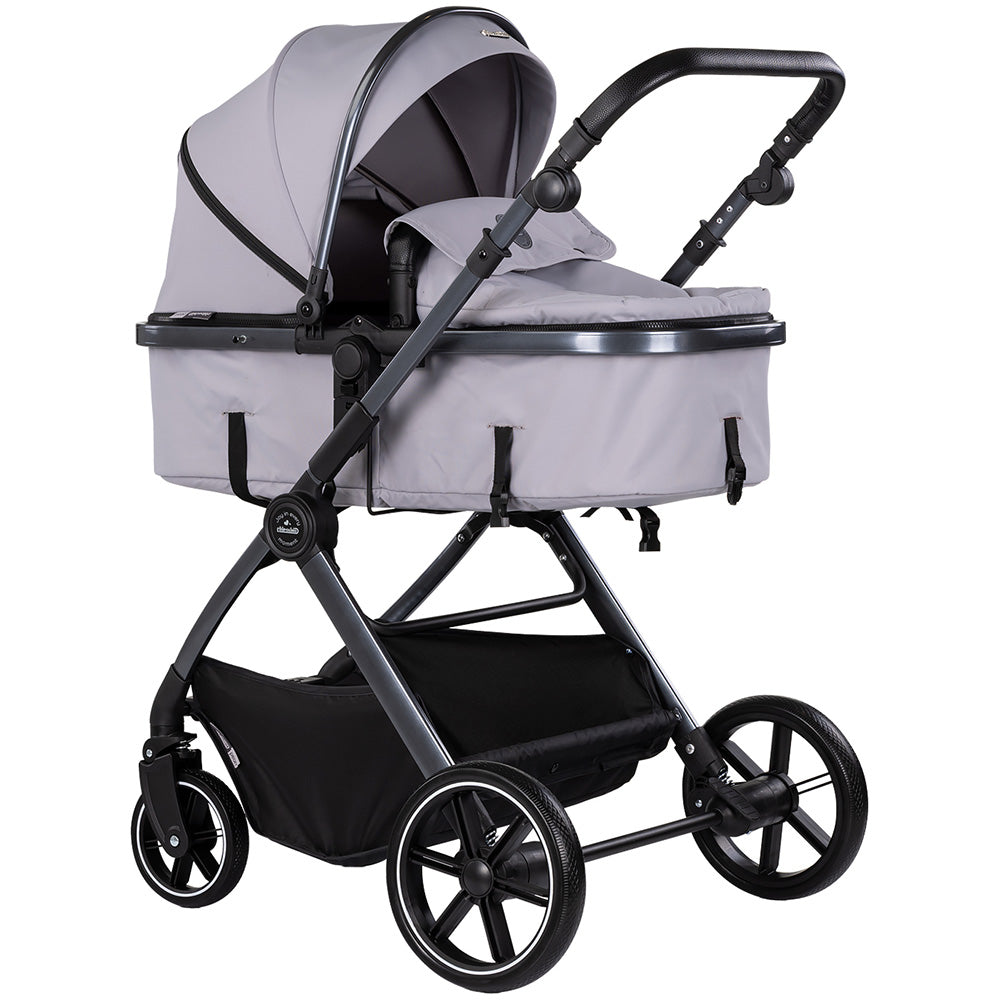 Carucior Chipolino Pearl 2 in 1 platinum