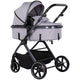 Carucior Chipolino Pearl 2 in 1 platinum