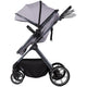 Carucior Chipolino Pearl 2 in 1 platinum