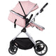 Carucior Chipolino Pearl 2 in 1 powder pink