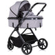Carucior Chipolino Pearl 3 in 1 platinum