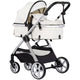 Carucior Chipolino Vista 2 in 1 biscotta