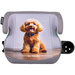 Inaltator auto Chipolino Go Boost I-Size 125-150 cm poodle
