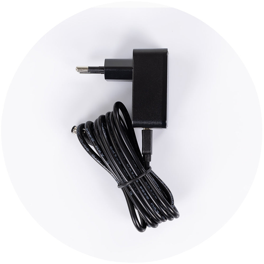 Leagan electric Chipolino E-sway biscotta