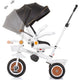 Tricicleta Chipolino Marathon black white