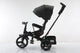 Tricicleta multifunctionala, L-Sun Star, Ansamblu muzica si lumini led, Gentuta mamici, Coș jucarii, NEGRU