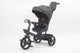 Tricicleta multifunctionala L-Sun BabyRelax GRI