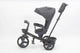 Tricicleta multifunctionala L-Sun BabyRelax GRI
