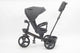 Tricicleta multifunctionala L-Sun BabyRelax GRI