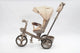 Tricicleta multifunctionala L-Sun BabyRelax CREM