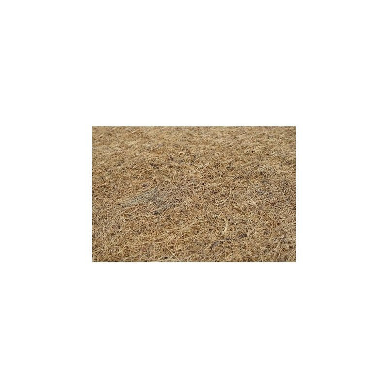Saltea patut bebe, Babyneeds, Cocos Confort II, Cu husa detasabila, Antialergica, Cu fibre de cocos si strat de burete, 120x60x8 cm, 0 luni+, Alb