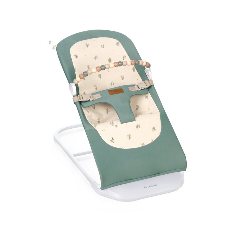 Balansoar, Jane, Baluu, Pliabil, Cu bara de jucarii si spatar reglabil in 3 pozitii, Conform cu standardul european de siguranta EN 12790:2023, Botanic