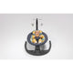 Balansoar si sezlong, Lionelo, Ralf, 2 in 1, Electric, Cu telecomanda si cablu USB, Cu miscare laterala de balansare si 5 niveluri diferite de viteza, Cu 12 melodii, Gri/Alb