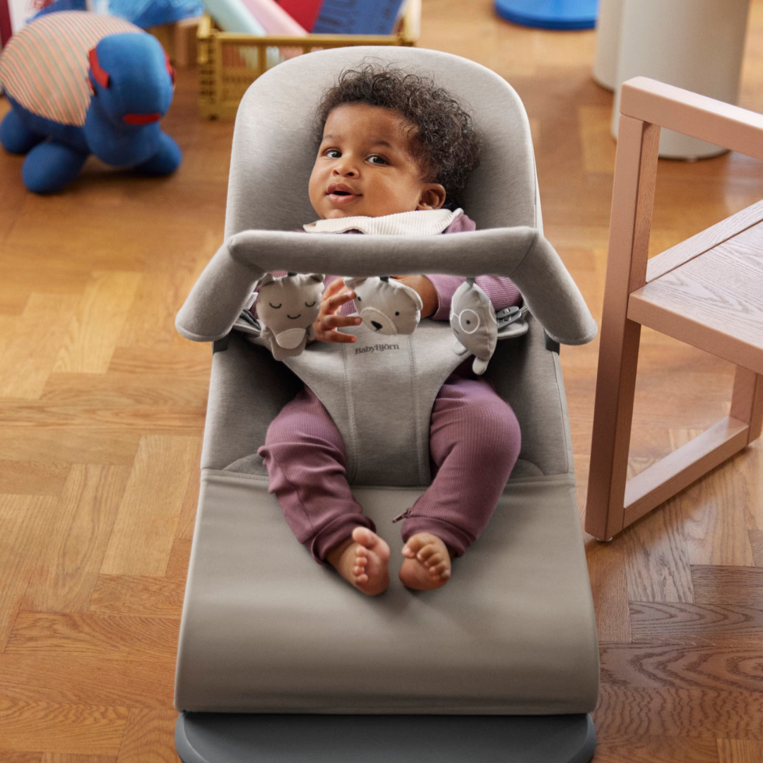 BabyBjorn - Bara de jucarii Soft Toys Neutrals – pentru balansoarele BabyBjorn