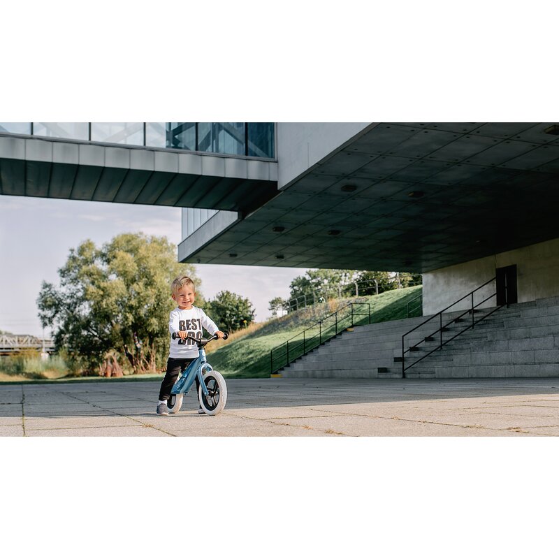 Bicicleta fara pedale, Lionelo, Bart, Usoara, Cu cadru din magneziu, Cu ghidon si sa reglabile, Greutate 3 Kg, 12 inch, Conform cu standardul european de securitate EN71, Purple Amethyst - gogobaby.ro