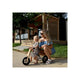Bicicleta/tricicleta fara pedale, Free2Move, Din lemn, 2 in 1, Functie de bicicleta echilibru, Sa reglabila, Manere antiderapante, Roti ajustabile, 18 luni - 3 ani, Conform cu standardele europene EN71-1;2018, EN71-2:2020, EN71-3:2021, Brown White