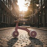 Bicicleta/tricicleta, Petite&Mars, 3 in 1, Multifunctionala, Cu/fara pedale, Ghidon directionabil, Sa reglabila pe inaltime, 2.3 kg, Pana la 25 kg, 12-36 luni, Roz