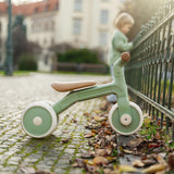 Bicicleta/tricicleta, Petite&Mars, 3 in 1, Multifunctionala, Cu/fara pedale, Ghidon directionabil, Sa reglabila pe inaltime, 2.3 kg, Pana la 25 kg, 12-36 luni, Verde