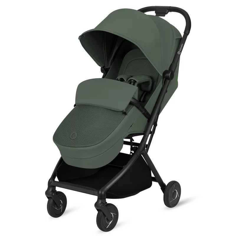 Carucior 2 in 1, Lionelo, Sia Flex, 7.6 kg, Include landou pliabil pe cadru, Ultracompact, Pliere rapida cu o mana, Copertina UPF50+, Cu accesorii incluse, 0-48 luni, Sustine 22 kg, Verde