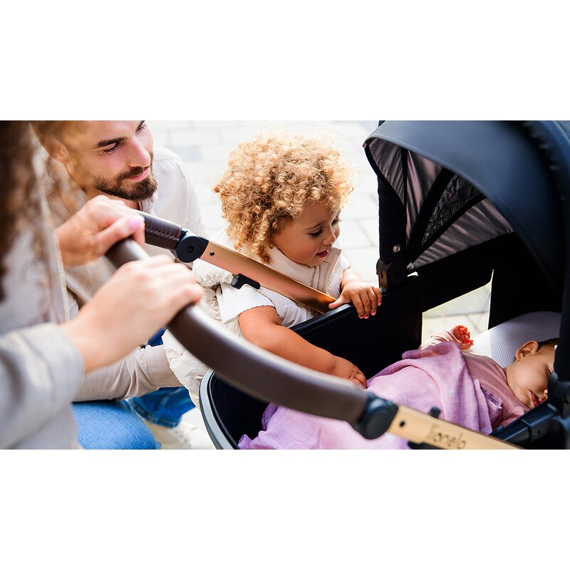 Carucior 3 in 1, Lionelo, Amber, Cadru aluminiu, Cu landou intarit si salteluta moale, Cu scoica auto testata ADAC, Reversibil, Cu accesorii, Geanta parinti, Pana la 22 kg, Negru silver