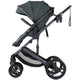 Carucior Chipolino Amore 2 in 1 basil
